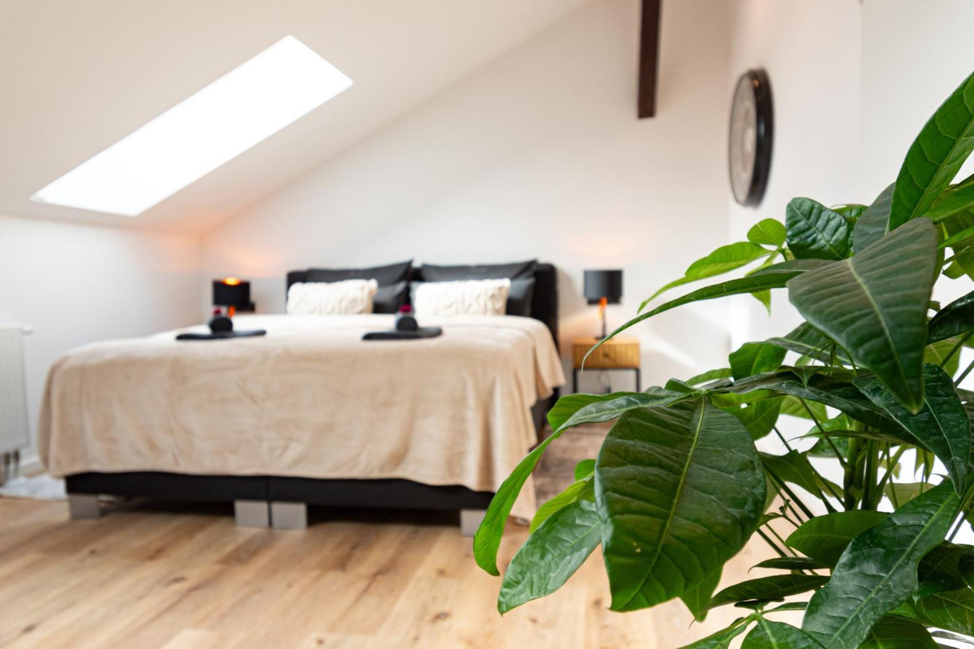Sweethome - Zentral - Kueche & Parkplatz, Wifi Halle  Buitenkant foto